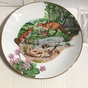 Collectible Plate